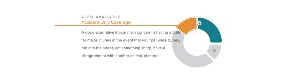 Hartville pet insurance accident coverage