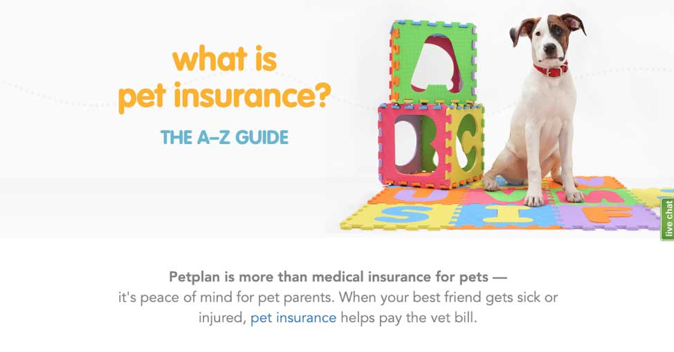 petplan pet travel insurance