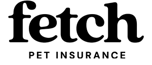 fetch logo
