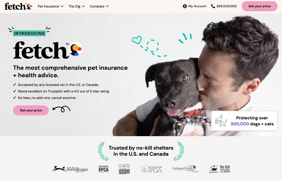 Fetch Pet - Top Pet Insurance