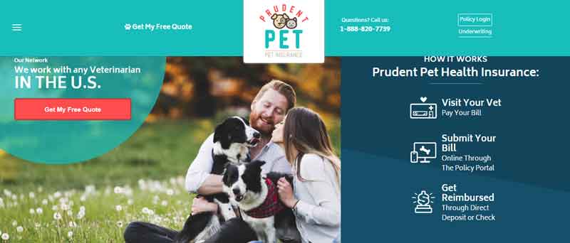 Prudent Pet Insurance Top Pet Insurance