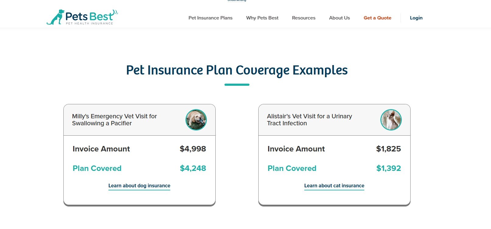 Pets Best pets insurance screenshot