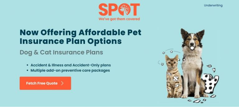 How Much Is Spot Pet Insurance